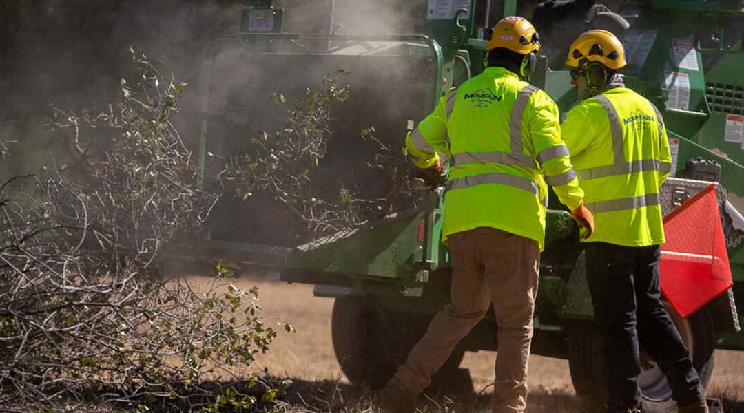 Do You Need a Tree Removal Permit in Folsom, CA?